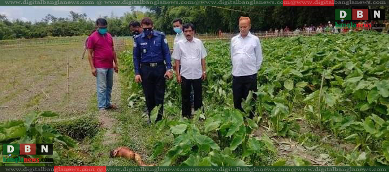 শ্রীমঙ্গলে মিললো মানব দেহের পায়ের দু খন্ডিত টুকরো