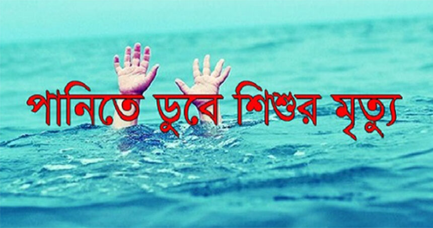 ফুলবাড়ীতে পুকুরের পানিতে ডুবে ভাইবোনের মৃত্যু