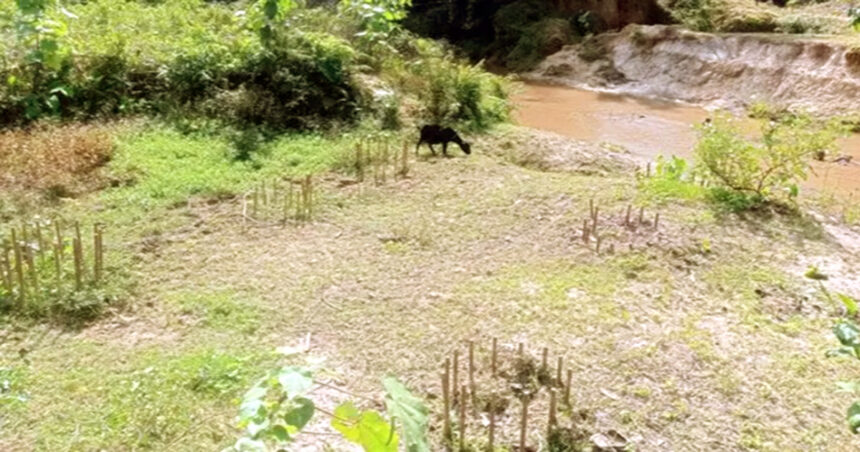 কাজ শেষ না করেই ঠিকাদার উধাও