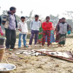 নেত্রকোণায় ফিসারীতে বিষ প্রয়োগে ২ লক্ষ টাকার ক্ষতি