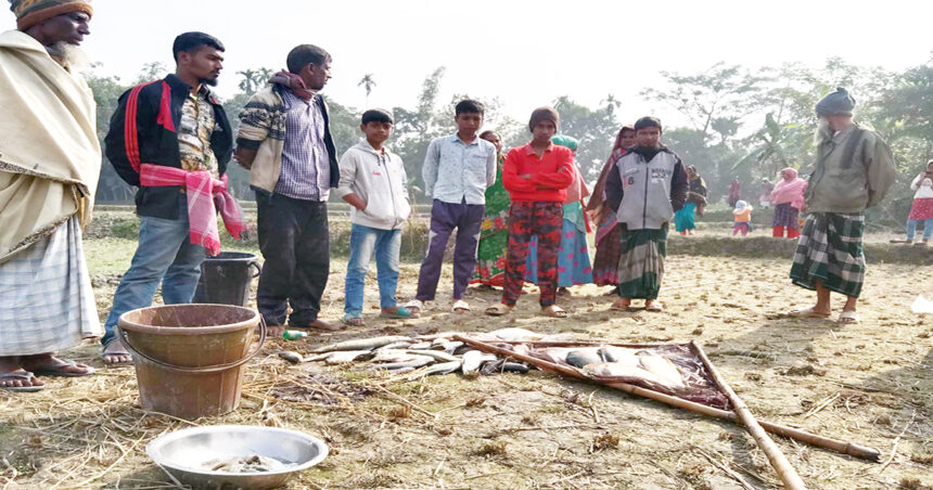 নেত্রকোণায় ফিসারীতে বিষ প্রয়োগে ২ লক্ষ টাকার ক্ষতি