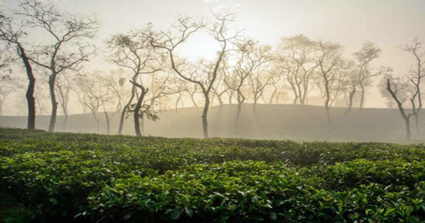 শীতেকে বিদেয় দিয়েও শৈত্যপ্রবাহ চলমান