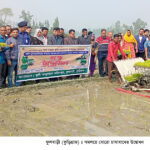 ফুলবাড়ীতে সমলয়ে বোরো চাষাবাদ কর্মসুচীর উদ্বোধন