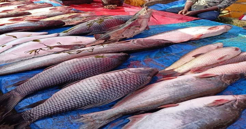 বগুড়ার শাজাহানপুরে ঐতিহ্যবাহী খাউড়া মেলা