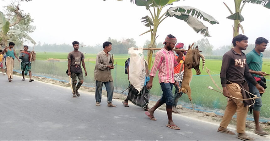 দল বেধে বন্যপ্রাণি নিধন করল সাঁওতালরা