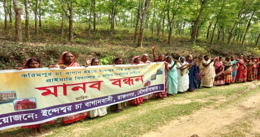 “আমি বুড়ো হয়ে গেছি মরেও যাবো তবুও রাস্তার দেখা মিলল না”