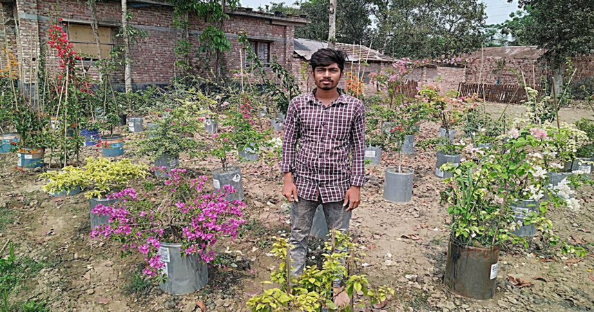 অনলাইনে বাগান বিলাসের চারার ব্যবসা করে স্বাবলম্বী ঝিকরগাছার ইউসুফ