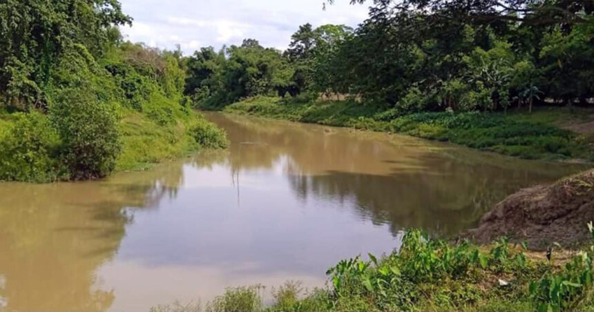 বিষ প্রয়োগ করে নদীতে মৎস্য নিধনের অভিযোগ