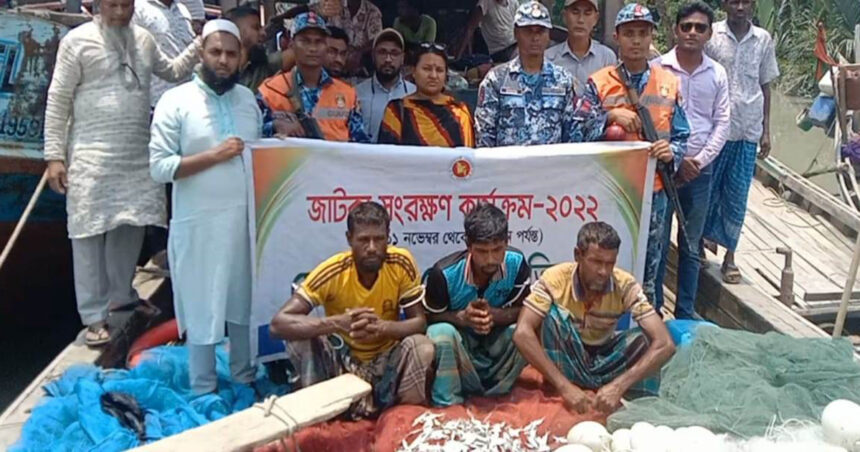 তালতলীতে জাটকা ধরায় তিন জেলেকে ১ বছরের কারাদণ্ড