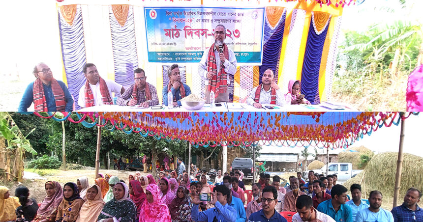 রাণীশংকৈলে "বিনাধান-২৪" প্রচার ও সম্প্রসারণে কৃষক মাঠ দিবস