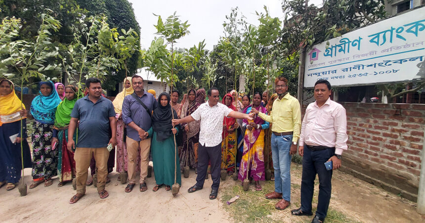 রাণীশংকৈলে গ্রামীণ ব্যাংকের উদ্যোগে বৃক্ষরোপণ কর্মসূচির উদ্বোধন