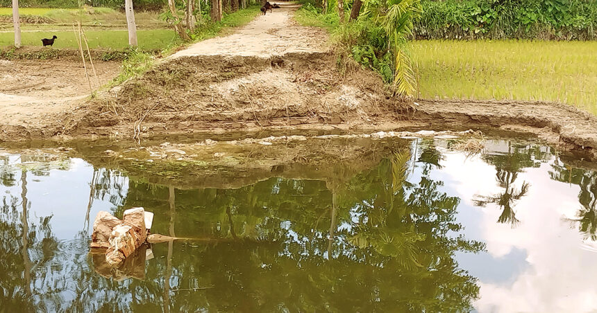 ফুলবাড়ীতে ব্রীজ ভেঙে যোগাযোগ বিছিন্ন, এলাকাবাসীর দুর্ভোগ