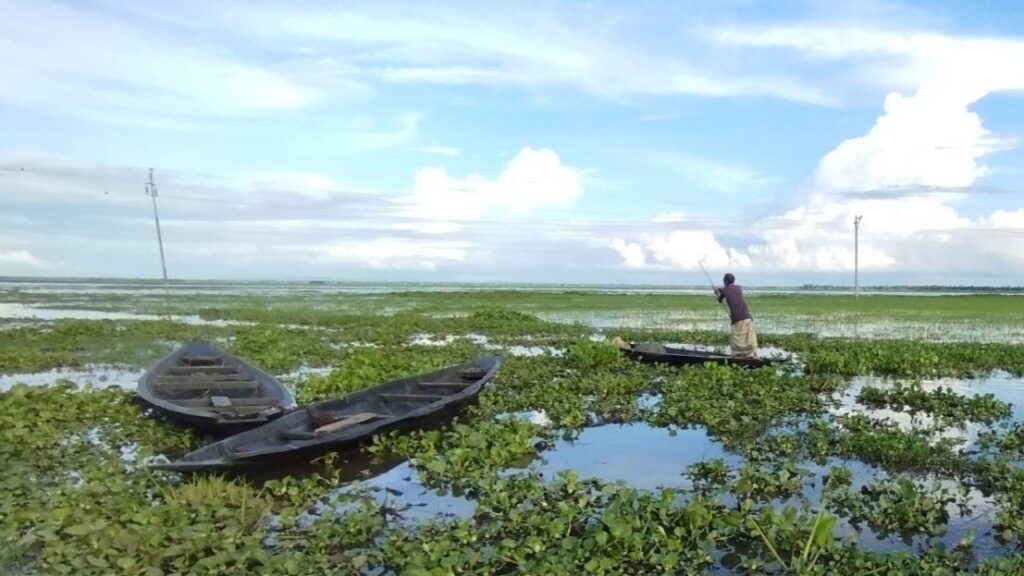 কাউয়াদীঘি হাওর