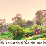 বাংলাদেশ থেকে গরু চুরি করল ভারতীয় নাগরিক, পতাকা বৈঠকে ফেরত দিল বিএসএফ