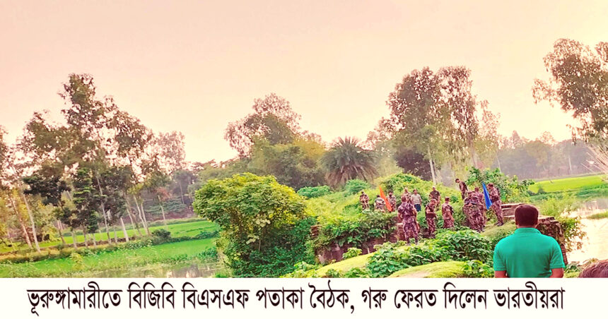 বাংলাদেশ থেকে গরু চুরি করল ভারতীয় নাগরিক, পতাকা বৈঠকে ফেরত দিল বিএসএফ