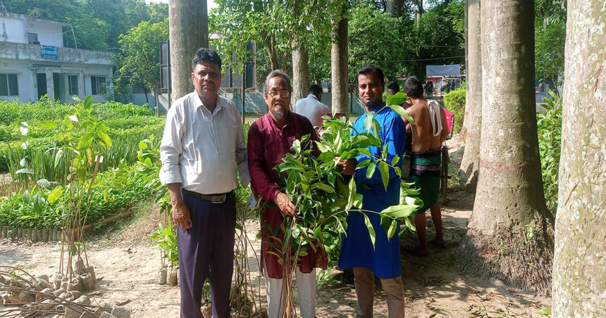 নওগাঁয় প্রকৃতি জীবন ক্লাবের বৃক্ষরোপন ও চারা বিতরন