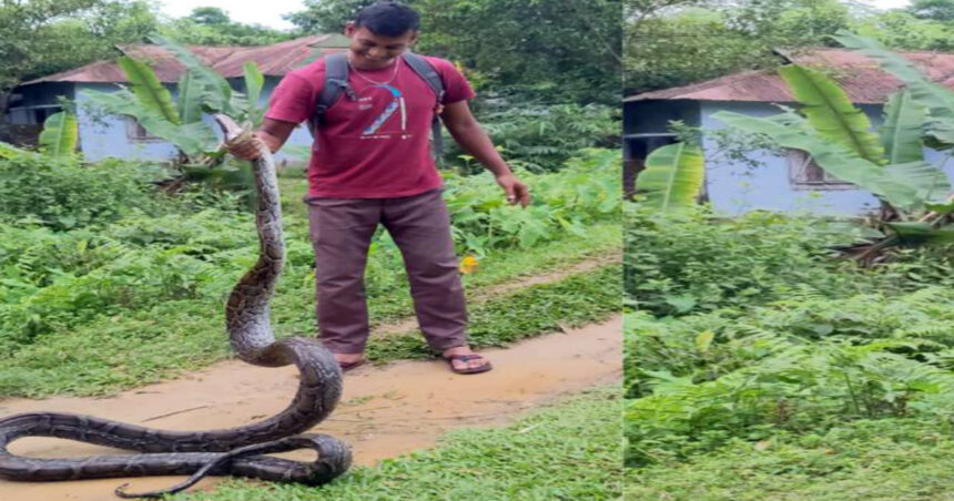 ১০ ফুট লম্বা অজগর সাপ উদ্ধার