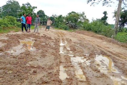 বিএসএফের বাঁধা কাটিয়েও কাজের গাফিলতিতে চাষের জমিতে পরিনত সড়ক