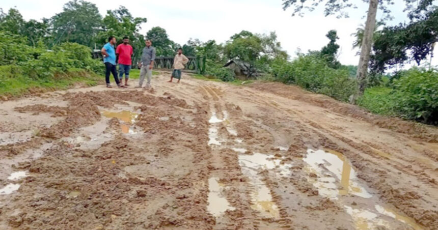 বিএসএফের বাঁধা কাটিয়েও কাজের গাফিলতিতে চাষের জমিতে পরিনত সড়ক