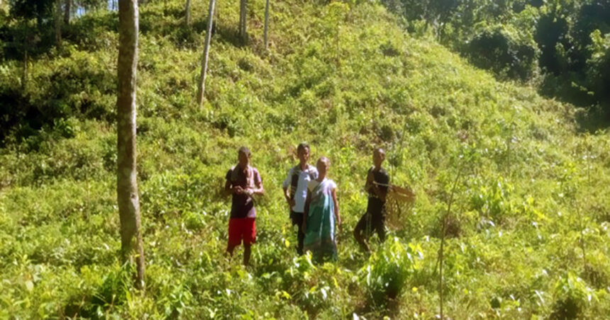 কুলাউড়ায় বন কর্মকর্তার বিরুদ্ধে আদালত অবমাননার মামলা