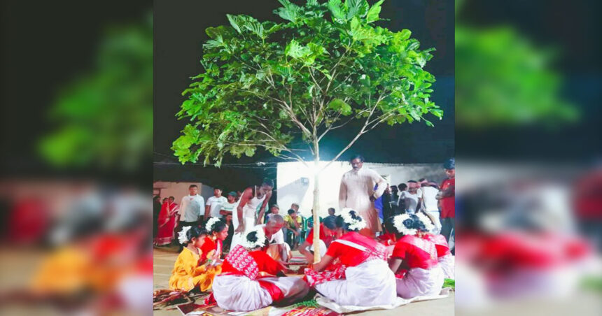 শ্রীমঙ্গলে মাহাতো কুর্মী সম্প্রদায়ের বড় ধর্মীয় উৎসব 'কারাম পূজা"