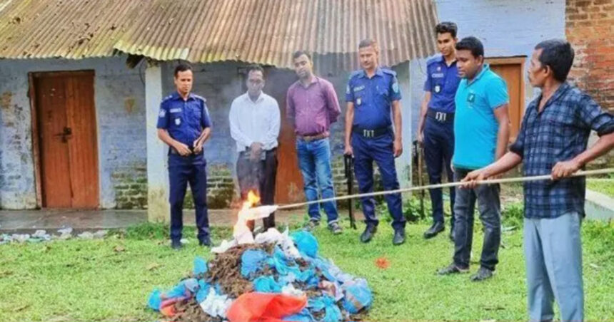 কুলাউড়ায় লাখ টাকার গাঁজা পুড়িয়ে ধ্বংস