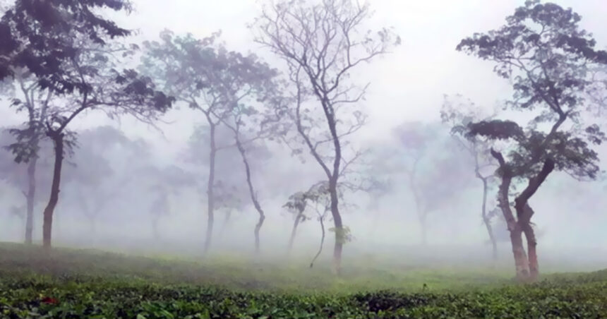 দেশের সর্বনিম্ন তাপমাত্রা শ্রীমঙ্গলে ৯.৯ ডিগ্রী