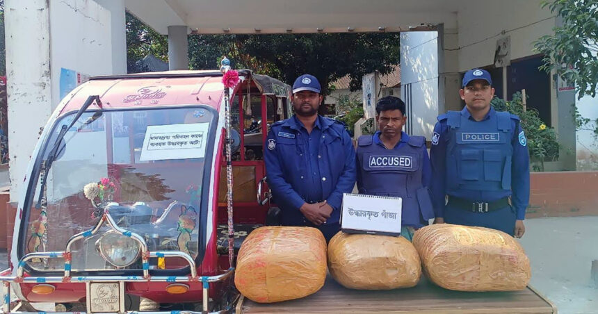 কুড়িগ্রামে এক মণ গাঁজাসহ মাদক কারবারি গ্রেফতার