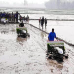 নীলফামারীর ডোমারে প্রদর্শনীতে রাইস ট্রান্সপ্লান্টের মাধ্যমে বোরো (হাইব্রীড) ধানের চারা রোপণ