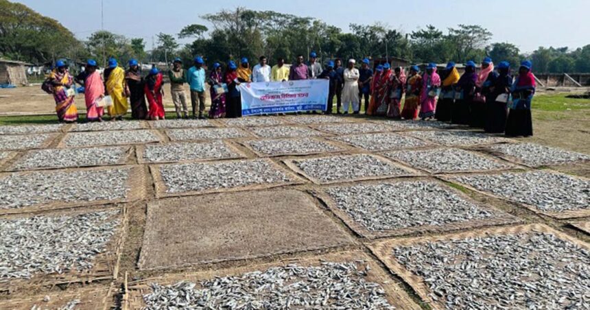 জুড়ীর মৎস্যচাষীরা অভিজ্ঞতা বিনিময়ে বিশ্বনাথ সফরে