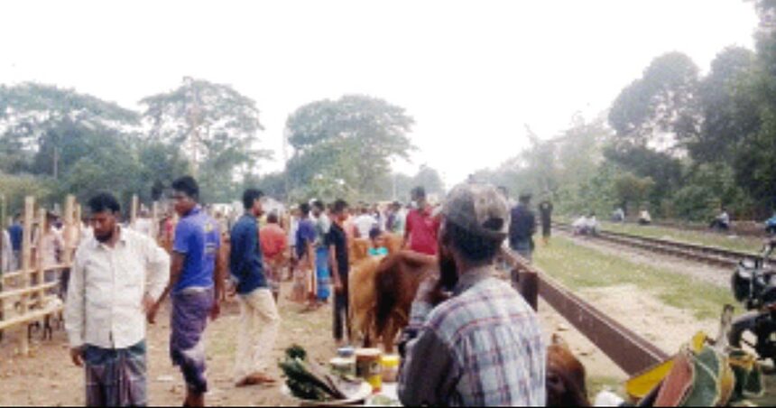 রেলপথ ঘেঁষে জমে উঠে অবৈধ পশুর হাট, দূর্ঘটনার আশঙ্কা