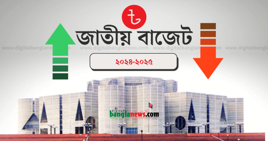 বাজেট ২০২৪-২৫: দাম বাড়ছে ও কমছে যেসব পণ্যের