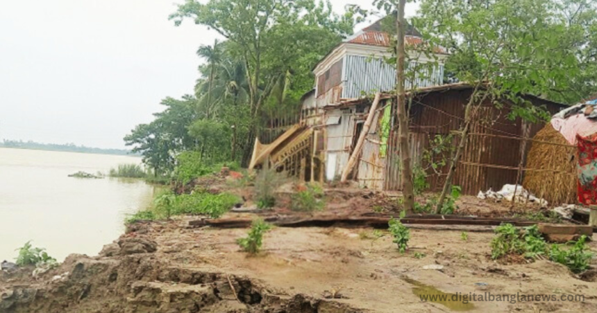 হবিগঞ্জে কুশিয়ারায় তীব্র হচ্ছে ভাঙন