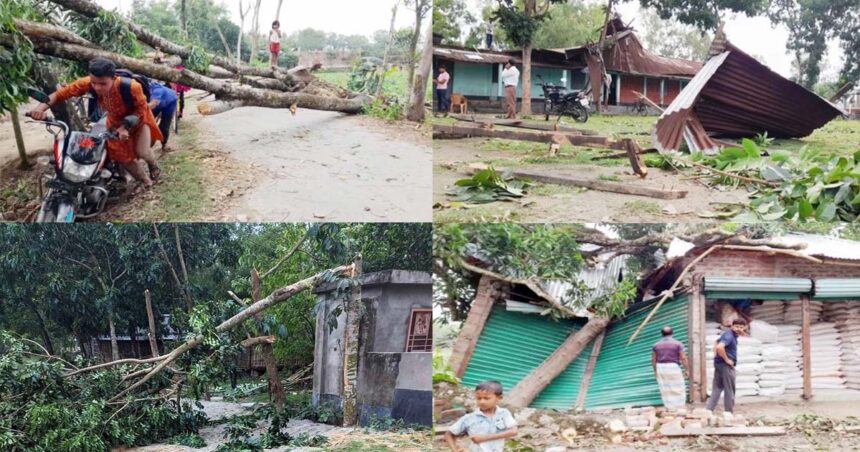 ঝড়ে লণ্ডভণ্ড ঠাকুরগাঁওয়ের ২০ গ্রাম, নিহত ৩