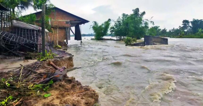 আসামের ভয়াবহ বন্যায় মৃতের সংখ্যা বেড়ে ৫২