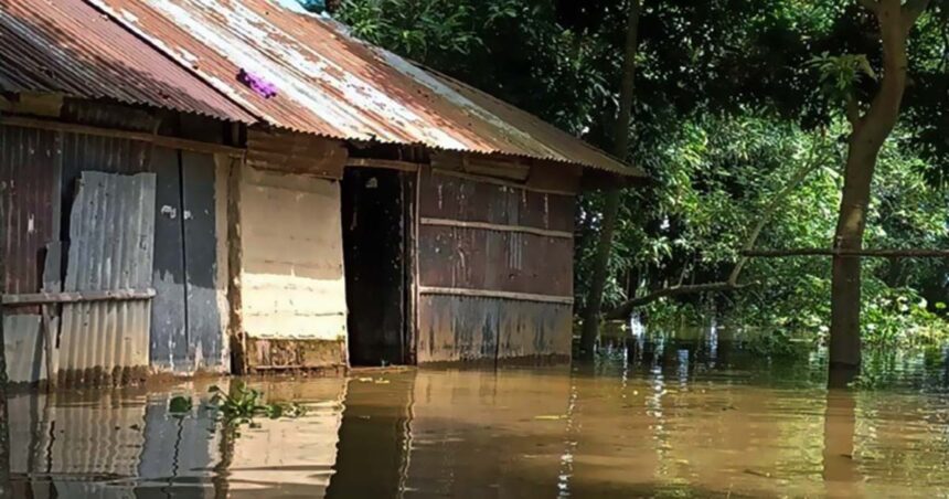 বন্যার পানি স্থায়ীত্বতে জনজীবন বিপর্যস্ত হাওর পাড়ের মানুষের