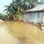 ৮ম বারের মতো বন্যার কবলে পড়ল তিস্তাপাড়ের মানুষ