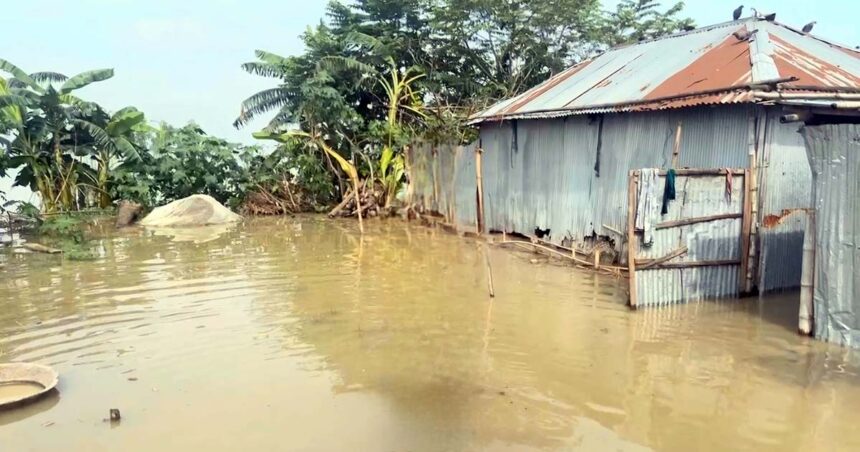 ৮ম বারের মতো বন্যার কবলে পড়ল তিস্তাপাড়ের মানুষ