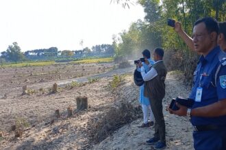 ডোমারের শব্দিগঞ্জ বনবিভাগের শত শত গাছ কর্তন, আটক-১