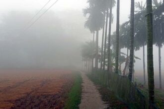 ফুলবাড়ীতে শীতের শুরুতেই পড়ছে ঘন কুয়াশা