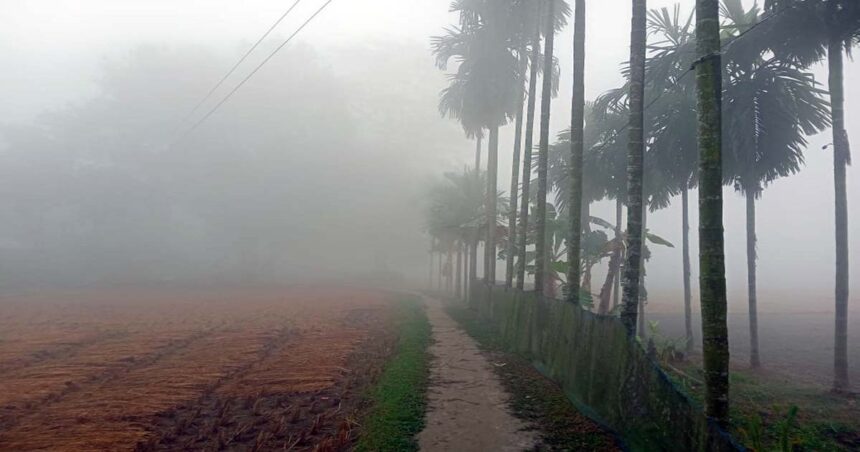 ফুলবাড়ীতে শীতের শুরুতেই পড়ছে ঘন কুয়াশা