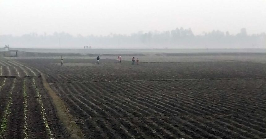 ফুলবাড়ীতে শীতের তীব্রতায় জনজীবন স্থবির, শীত বস্ত্রের সংকট