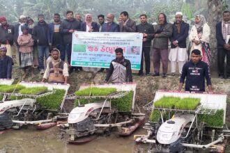 ফুলবাড়ীতে রাইস ট্রান্সপ্লান্টারের মাধ্যমে বোরো ধানের চারা রোপন